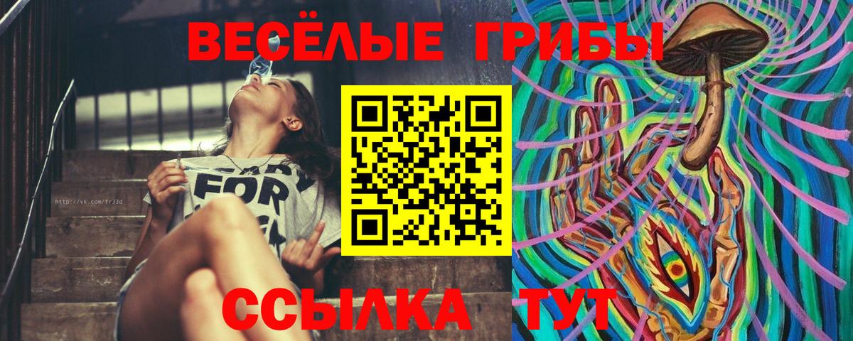 Галлюциногенные грибы мицелий  Галлюциногенные грибы Psilocybine cubensis  Вход с VPN  Минеральные Воды 