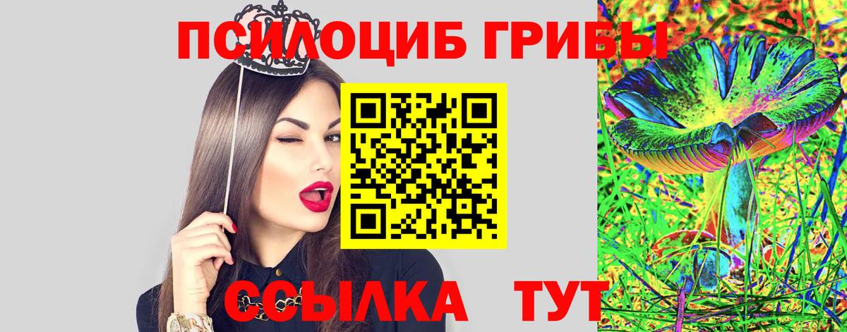 Псилоцибиновые грибы прущие грибы Минеральные Воды